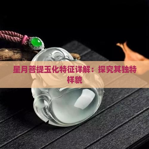 星月菩提玉化特征详解：探究其独特样貌