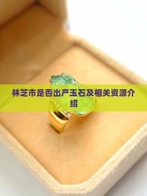 林芝市是否出产玉石及相关资源介绍