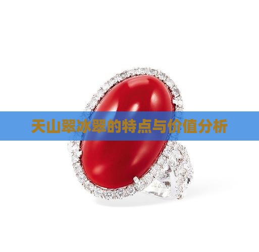 天山翠冰翠的特点与价值分析