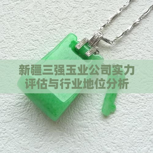 新疆三强玉业公司实力评估与行业地位分析
