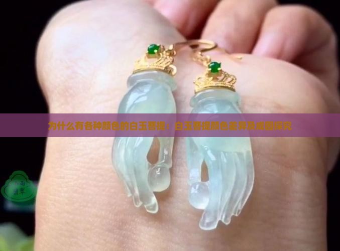 为什么有各种颜色的白玉菩提：白玉菩提颜色差异及成因探究