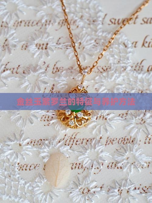 金丝玉紫罗兰的特征与养护方法