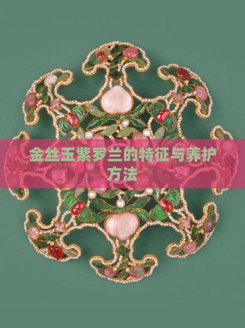金丝玉紫罗兰的特征与养护方法