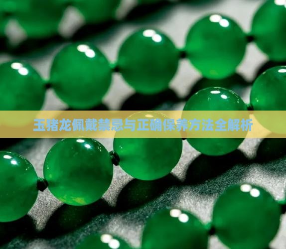 玉猪龙佩戴禁忌与正确保养方法全解析