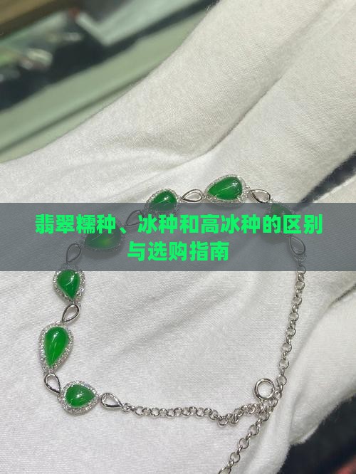 翡翠糯种、冰种和高冰种的区别与选购指南