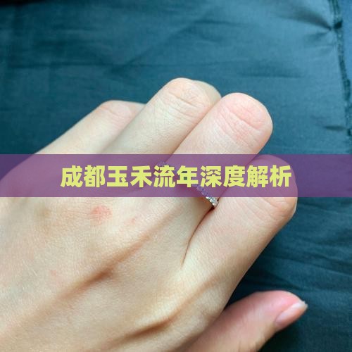 成都玉禾流年深度解析