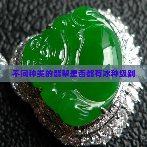 不同种类的翡翠是否都有冰种级别