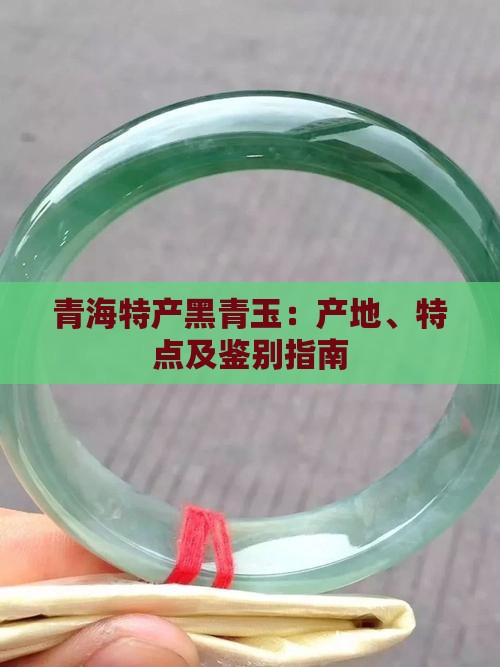 青海特产黑青玉：产地、特点及鉴别指南