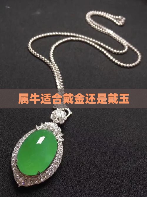 属牛适合戴金还是戴玉