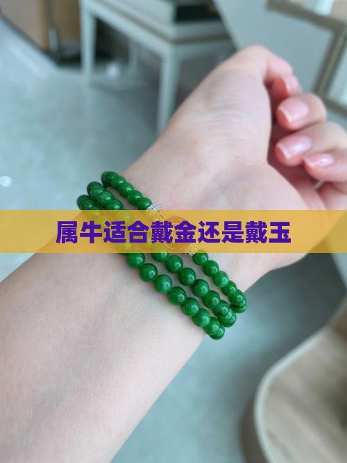 属牛适合戴金还是戴玉