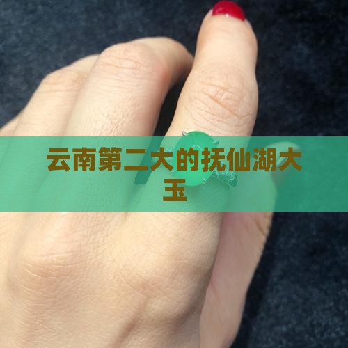 云南第二大的抚仙湖大玉