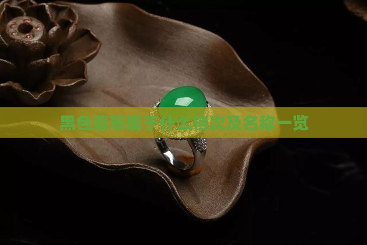 黑色翡翠属于什么档次及名称一览