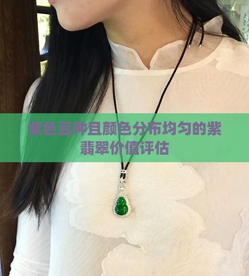 紫色豆种且颜色分布均匀的紫翡翠价值评估