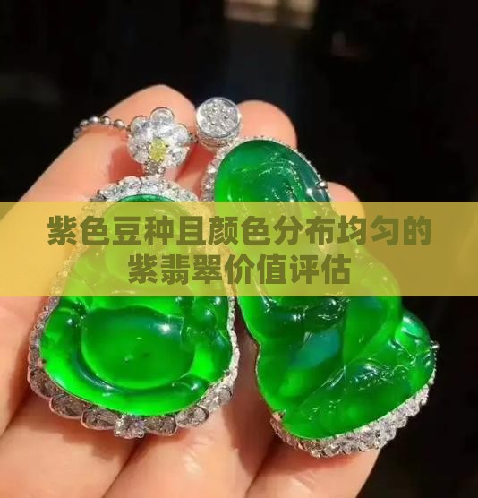 紫色豆种且颜色分布均匀的紫翡翠价值评估