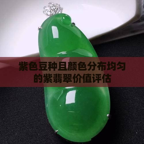 紫色豆种且颜色分布均匀的紫翡翠价值评估