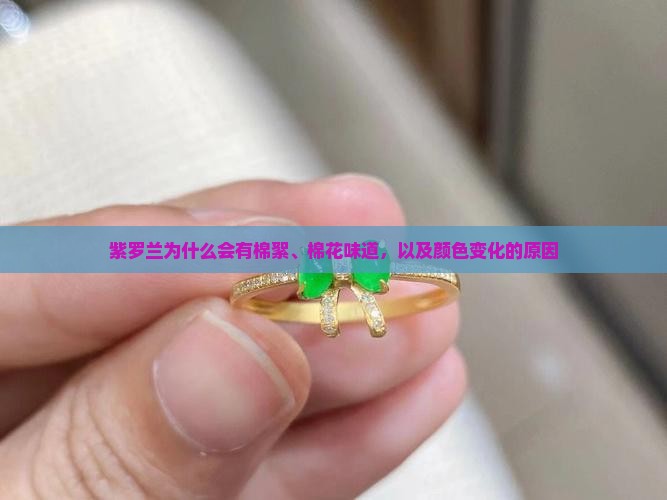 紫罗兰为什么会有棉絮、棉花味道，以及颜色变化的原因