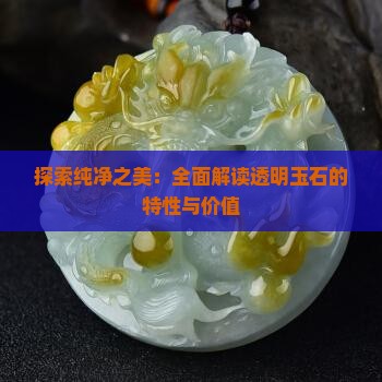 探索纯净之美：全面解读透明玉石的特性与价值