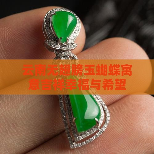 云南无翅膀玉蝴蝶寓意吉祥幸福与希望