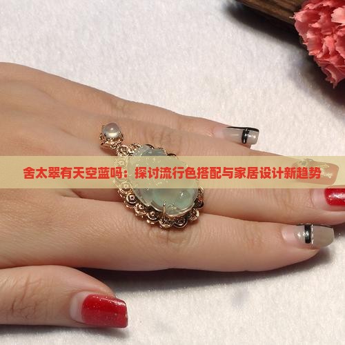 舍太翠有天空蓝吗：探讨流行色搭配与家居设计新趋势