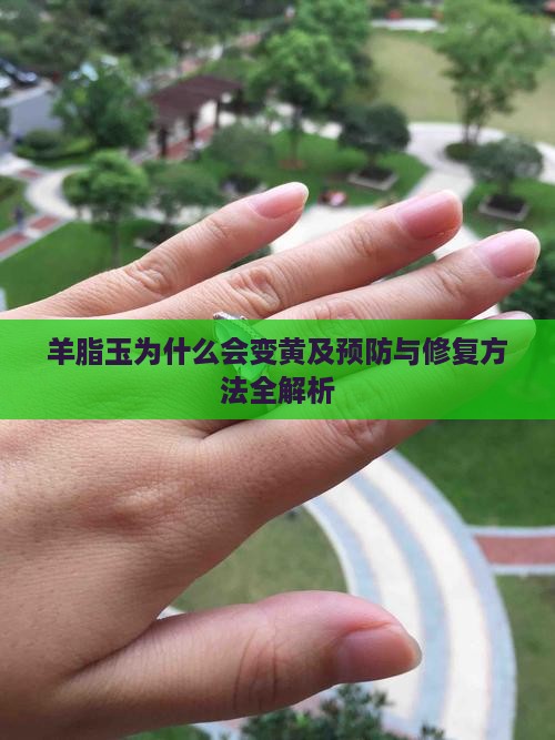 羊脂玉为什么会变黄及预防与修复方法全解析
