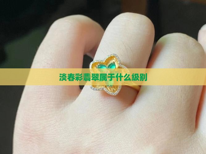 淡春彩翡翠属于什么级别