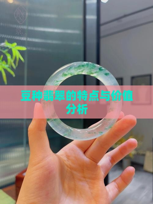 豆种翡翠的特点与价值分析