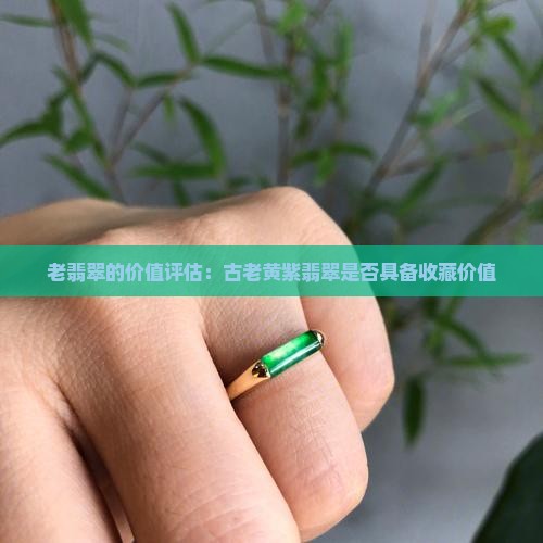 老翡翠的价值评估：古老黄紫翡翠是否具备收藏价值