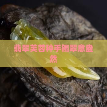 翡翠芙蓉种手镯翠意盎然