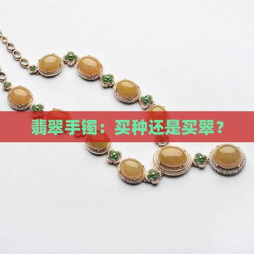 翡翠手镯：买种还是买翠？