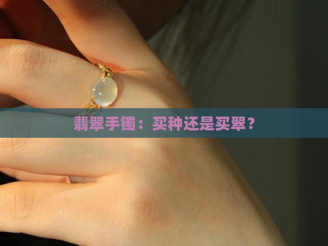 翡翠手镯：买种还是买翠？