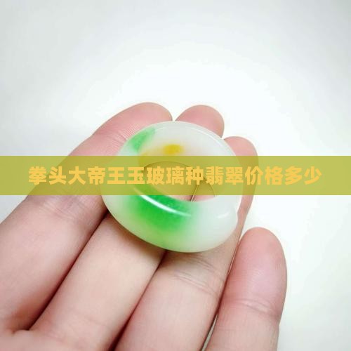 拳头大帝王玉玻璃种翡翠价格多少