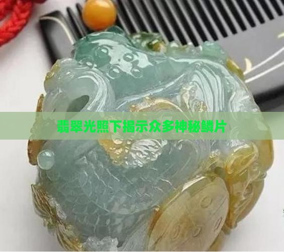 翡翠光照下揭示众多神秘鳞片