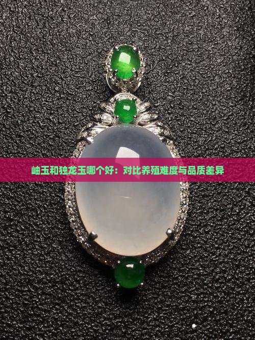 岫玉和独龙玉哪个好：对比养殖难度与品质差异