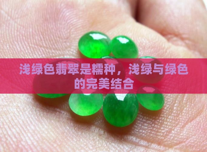 浅绿色翡翠是糯种，浅绿与绿色的完美结合