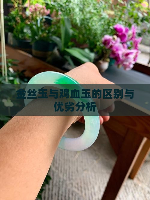 金丝玉与鸡血玉的区别与优劣分析