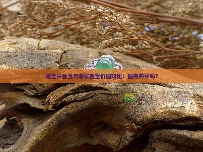 岫玉黄金玉与翡翠金玉价值对比：值得购买吗？