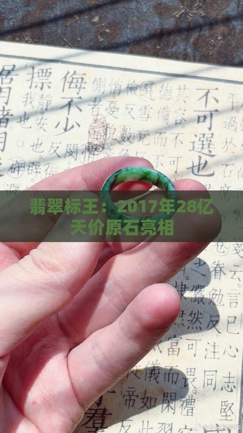 翡翠标王：2017年28亿天价原石亮相