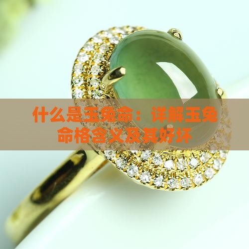 什么是玉兔命：详解玉兔命格含义及其好坏