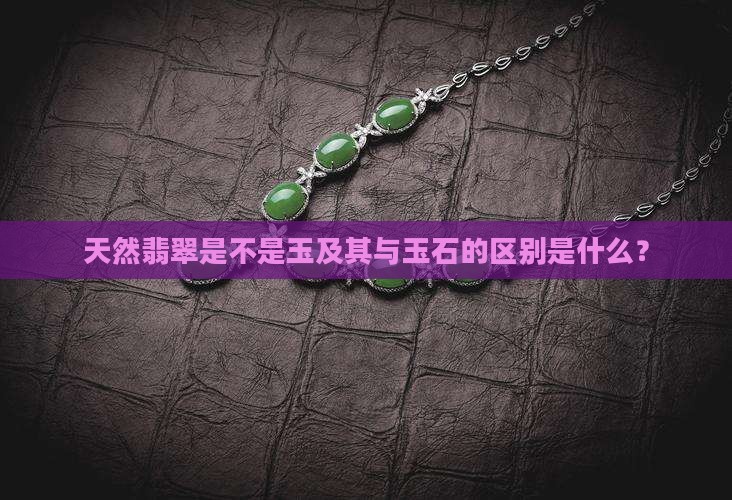 天然翡翠是不是玉及其与玉石的区别是什么？