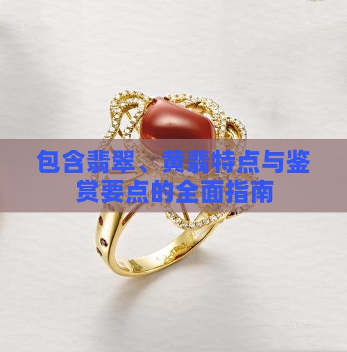 包含翡翠、黄翡特点与鉴赏要点的全面指南