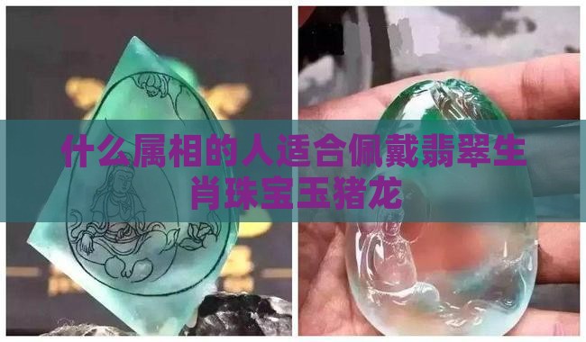 什么属相的人适合佩戴翡翠生肖珠宝玉猪龙