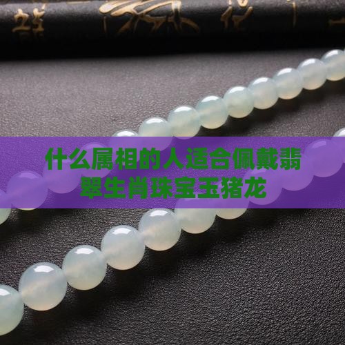 什么属相的人适合佩戴翡翠生肖珠宝玉猪龙