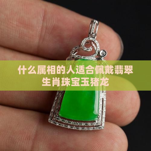 什么属相的人适合佩戴翡翠生肖珠宝玉猪龙