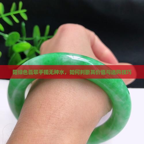 阳绿色翡翠手镯无种水，如何判断其价值与选购技巧