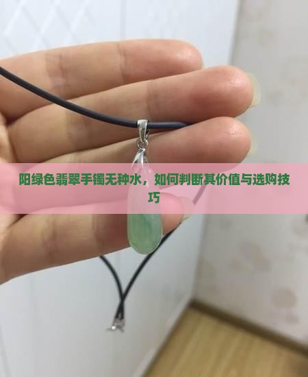 阳绿色翡翠手镯无种水，如何判断其价值与选购技巧