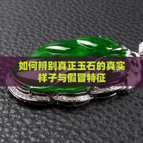 如何辨别真正玉石的真实样子与假冒特征