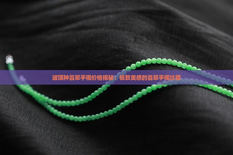 玻璃种翡翠手镯价格揭秘：极致美感的翡翠手镯珍藏