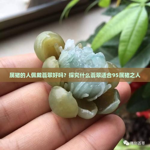 属猪的人佩戴翡翠好吗？探究什么翡翠适合95属猪之人