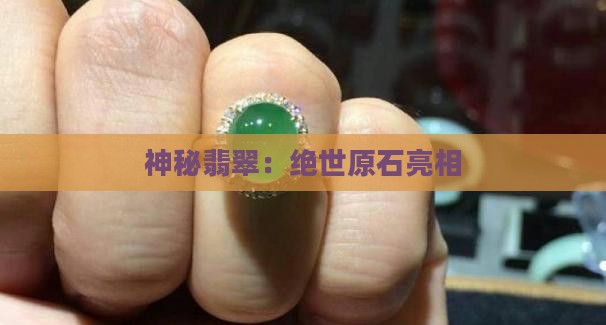 神秘翡翠：绝世原石亮相