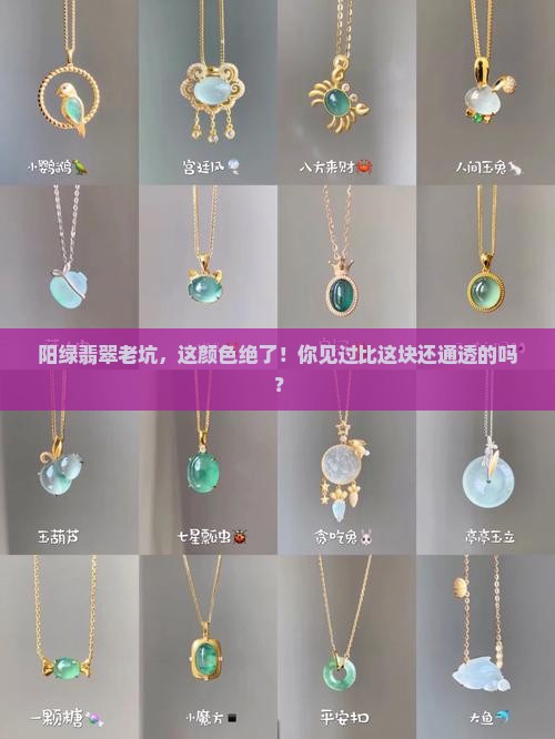 阳绿翡翠老坑